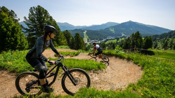 Rossmann-MTB-12